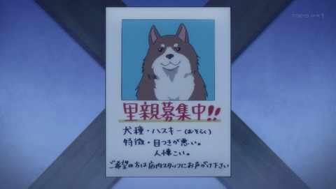 ANCB001341