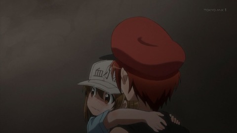はたらく細胞 11話 感想 156