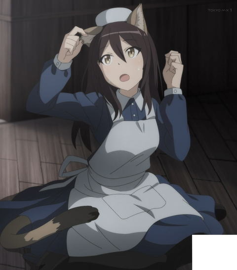 ANCB001952_stitch
