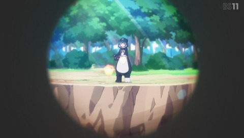 ANCB003016