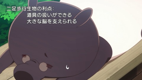ANCB002341