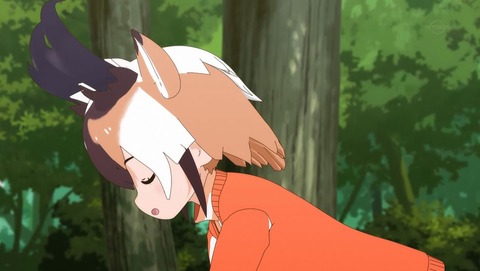 ancb00406