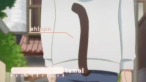 うちタマ?! うちのタマ知りませんか? 9話 感想 61