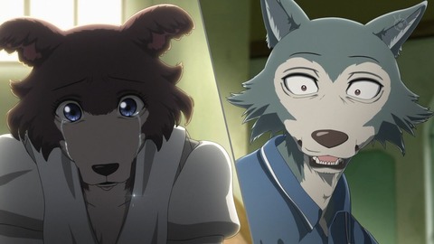 ancb00508