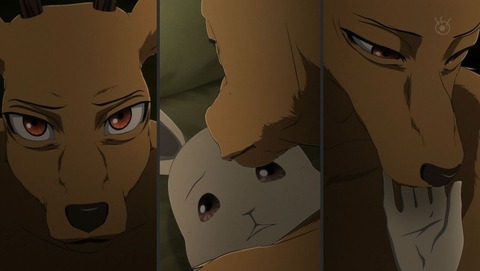 ancb001130