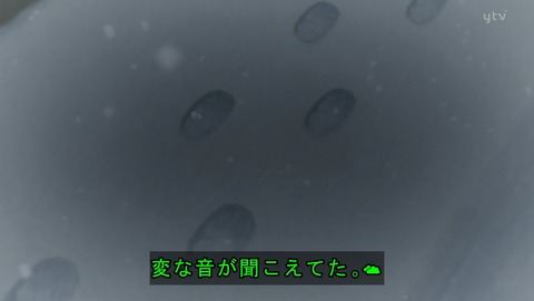 ANCB002247