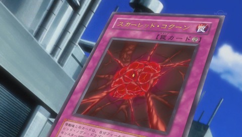 ANCB000774