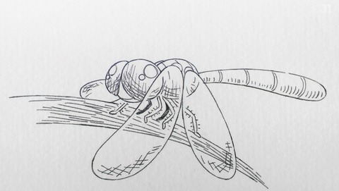 ANCB001666