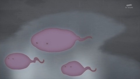 ancb002557