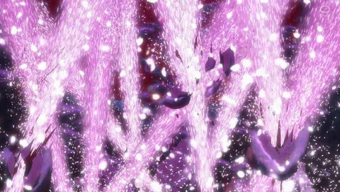ANCB002249