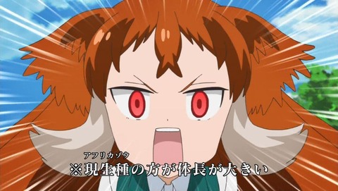 ancb000113