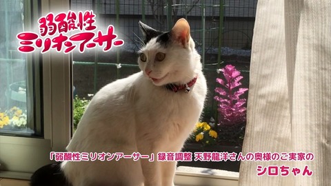 ancb02489