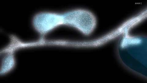 ancb002481