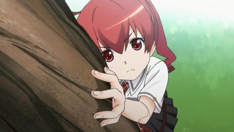 ANCB001235