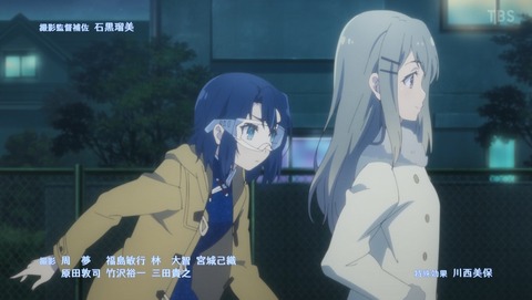 ANCB003133