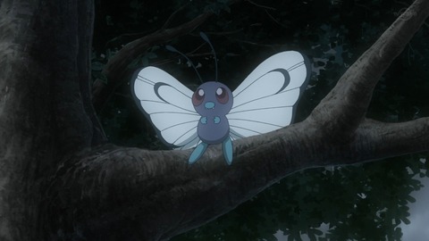 めざポケ 最終話 5681