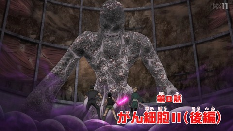 ANCB003532