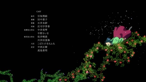 ANCB003020