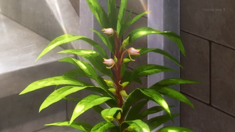 ancb00224