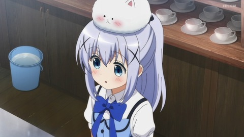 ANCB003111