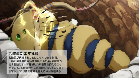 ANCB001624