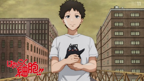 ANCB001331
