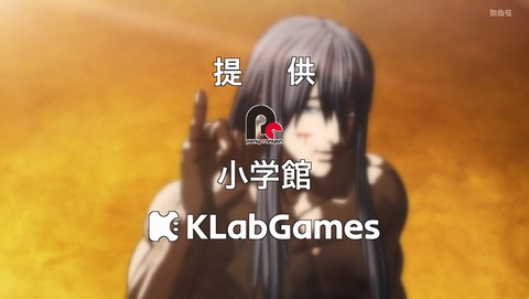 ANCB003393