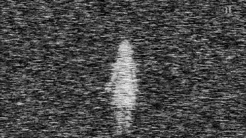 ANCB002445