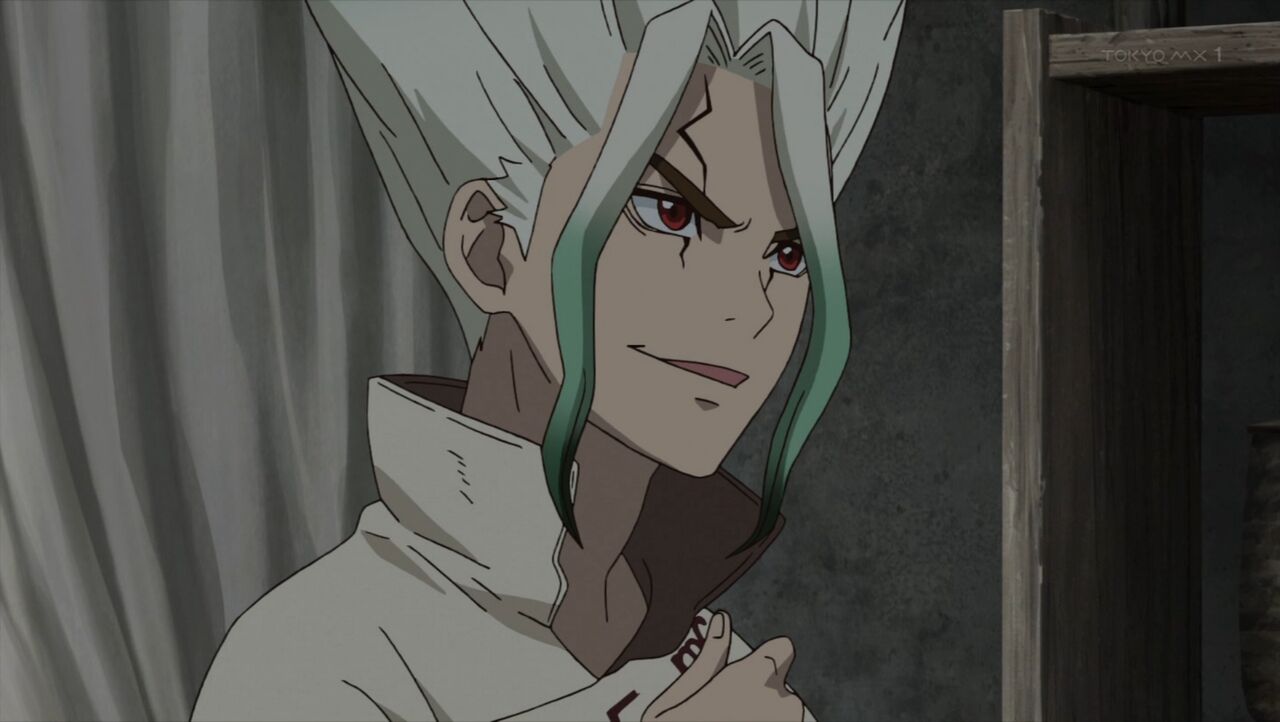 Минами доктор стоун. Стоун субтитры. Сенку исигами. Доктор стоун. Сенку ишигами.