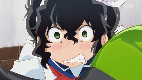 ANCB001233