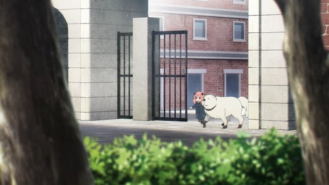 ancb03375