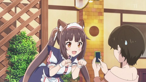 ANCB001115