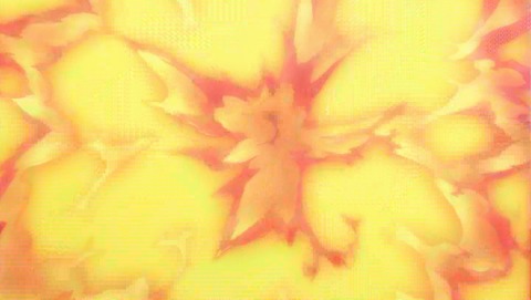 ANCB001475