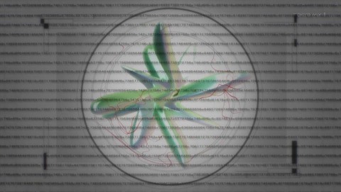 ancb000964