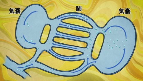 ancb00468