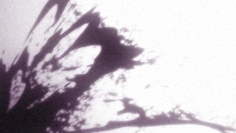 ancb00027