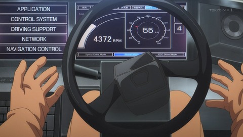 ANCB001529