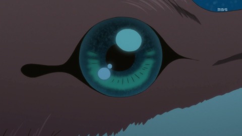 ANCB000619