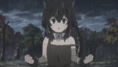 ANCB002503