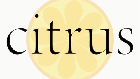 citrus 2話 感想 76