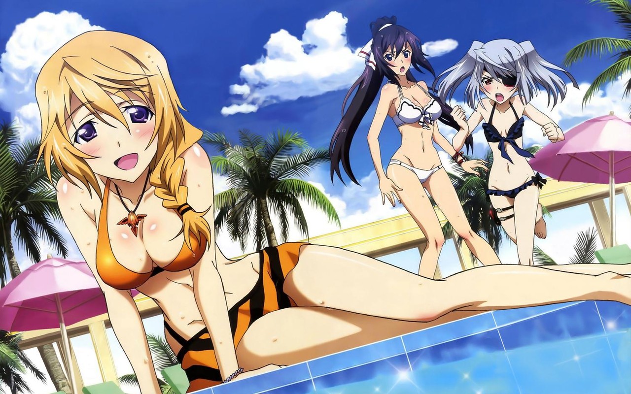 isのシャルってエロい身体してるよな アニ談 isのシャルってエロい身体してるよな アニ談