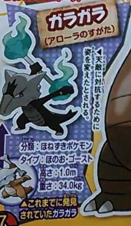 画像 ポケモンサンムーンで新ポケモンヌイコグマ ヨワシ スナバァが判明 ニャースやガラガラのアローラ地方の姿も あにゲーぐらし