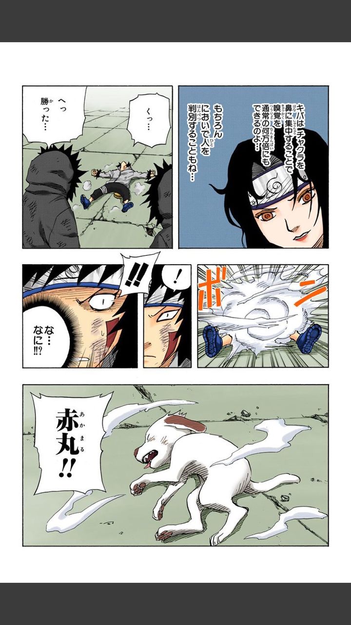 Naruto 紅班最弱は犬塚キバ ねいろ速報さん Naruto 紅班最弱は犬塚キバ ねいろ速報さん