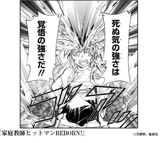 家庭教師ヒットマンreborn の思い出 ねいろ速報さん