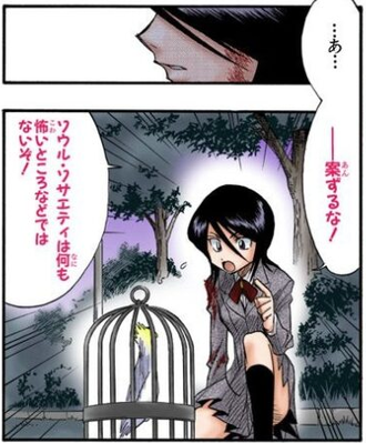 【BLEACH】ルキア「尸魂界は怖いところなどない」←これ