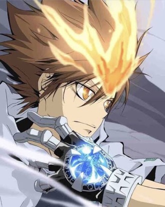 【家庭教師ヒットマンREBORN!】ボンゴレ10代目好き