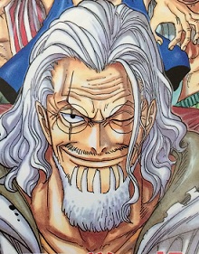【ワンピース】海賊王の右腕シルバーズ・レイリー