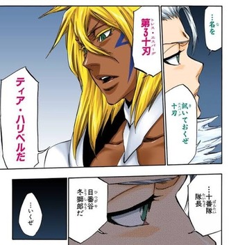 Bleach 日番谷冬獅郎 小さすぎない 漫画まとめ うさちゃんねる