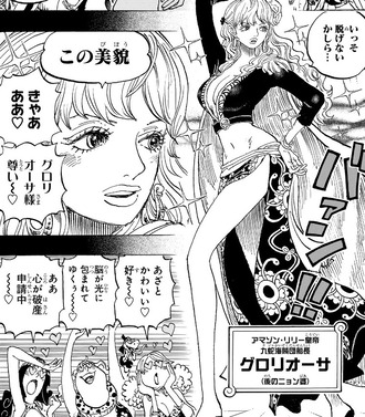 【ワンピース】グロリオーサ（後のニョン婆）