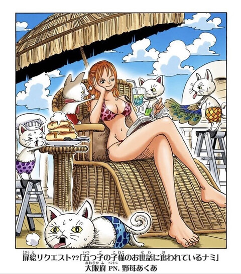 ワンピース 好き勝手扉絵リクエストしなさる ねいろ速報さん